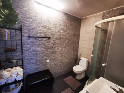 a bathroom with a shower and a toilet and a sink at Rose 8 Bled in Bled