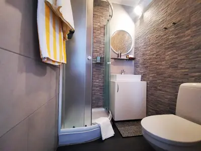 a bathroom with a shower and a toilet and a sink at Rose 8 Bled in Bled