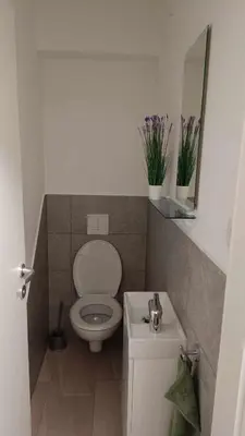a small bathroom with a toilet and a sink at Apartma in sobe Tanja in Podbrdo