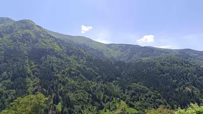 an aerial view of a green forested mountain at Apartma in sobe Tanja in Podbrdo