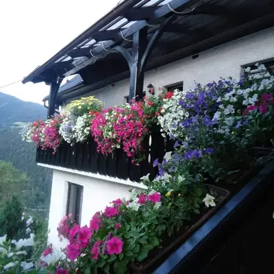 Apartma in sobe Tanja