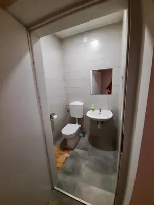 a bathroom with a toilet and a sink at Rooms Optim in Ptuj