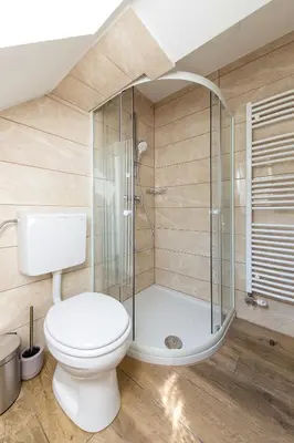 a bathroom with a toilet and a shower at Apartmaji Rupnik in Bohinjska Bistrica