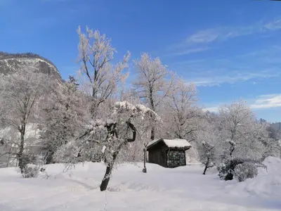 a small cabin in the snow next to a tree at Apartma in sobe PR'OBJAN in Bohinj
