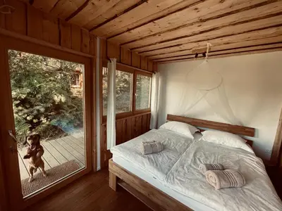 a bedroom with a bed and a dog looking out the window at Boutique Glamping Divja DiVine in Zgornja Korena