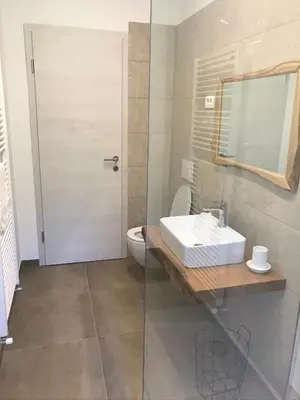 a bathroom with a sink and a toilet at Apartment Nona Polda in Kobarid
