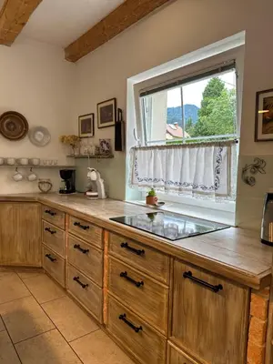 a kitchen with a sink and a window at Hiša Srečo in Begunje na Gorenjskem