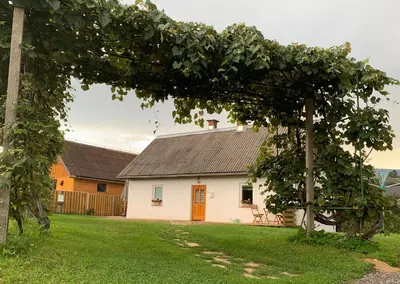 a white house with a brown roof at Grandma's House in Radlje ob Dravi