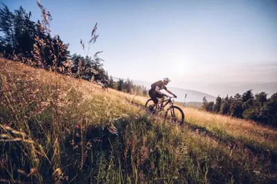a man riding a bike down a hill at Grandma's House in Radlje ob Dravi