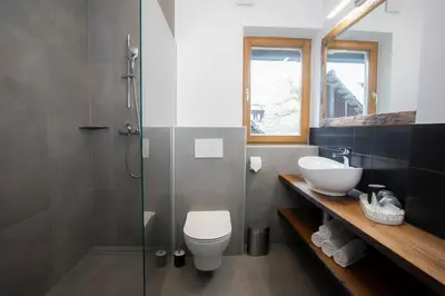 a bathroom with a shower and a toilet and a sink at House Troha - Rooms & Apartments in Bled