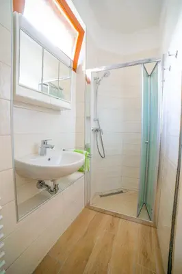 a bathroom with a sink and a shower at Apartma Korada in Deskle