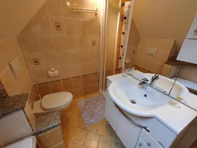 a bathroom with a sink and a toilet at Apartma Dobra misel in Bovec