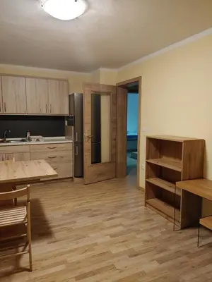 a large kitchen with a table and a refrigerator at Apartmaji Maki in Bled