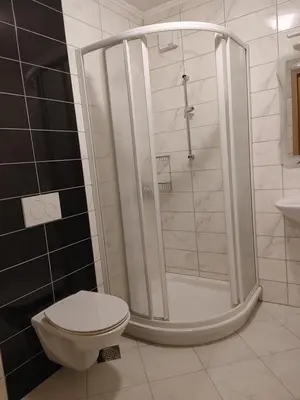 a bathroom with a shower and a toilet at Apartmaji Maki in Bled