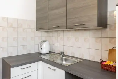 a kitchen counter with a sink and a toaster at Apartmaji Trstenjak in Rateče