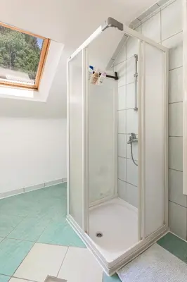 a shower with a glass door in a bathroom at Apartmaji Trstenjak in Rateče