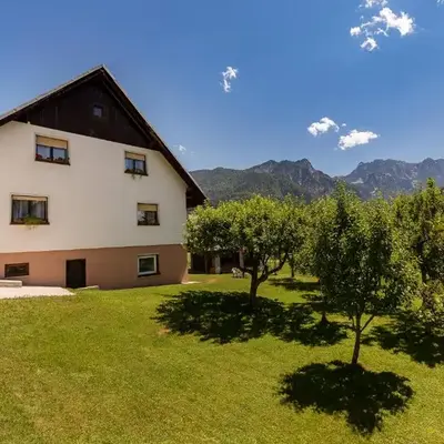 Apartmaji Trstenjak