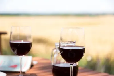 two glasses of red wine sitting on a wooden table at Hiša iz volne in Moravske Toplice