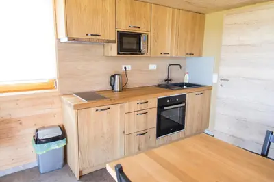 a small kitchen with wooden cabinets and a sink at Hiša iz volne in Moravske Toplice