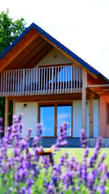 a house with purple flowers in front of it at Hiša iz volne in Moravske Toplice