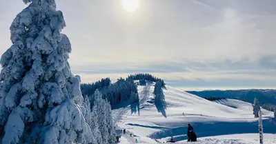 a person is standing on a snow covered ski slope at Family House Apartma in Mozirje