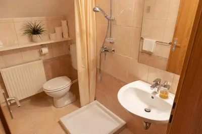 a bathroom with a toilet and a sink and a shower at Hiša na Vrtu in Šenčur