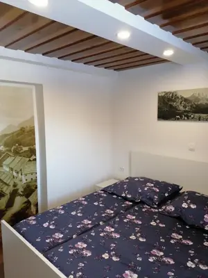 a bedroom with a bed with a purple comforter at Žbogar in Rateče