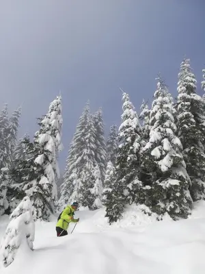 a person skiing in the snow in front of trees at Žbogar in Rateče