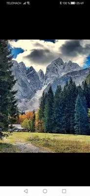 a view of a mountain range with a field and trees at Žbogar in Rateče
