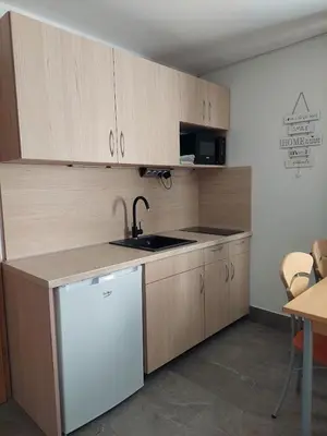a kitchen with wooden cabinets and a sink and a dishwasher at Studio apartma Žirovnik in Cerklje na Gorenjskem