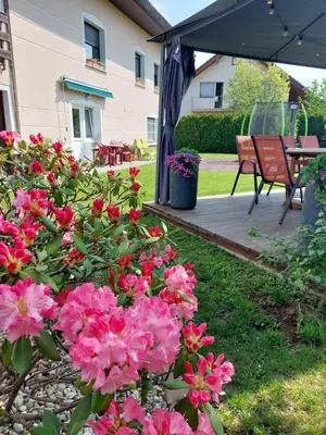 a garden with pink flowers and a patio at Studio apartma Žirovnik in Cerklje na Gorenjskem