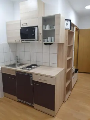 a small kitchen with a sink and a microwave at RAILWAY STATION CITY MODERN APARTMENT in Maribor