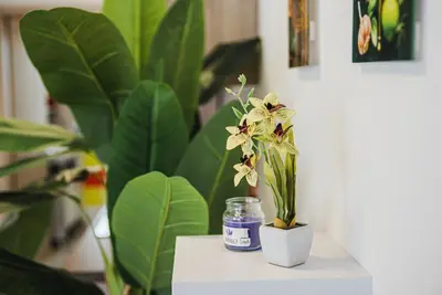 a white table with a flower in a jar and a plant at CUDERLAND - Petra in Kobarid