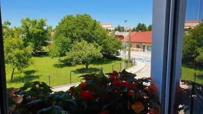 a window with a view of a street and a plant at Apartment Luna in Ptuj