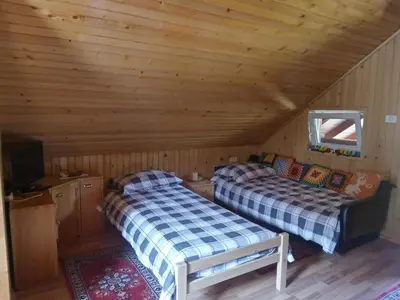 two beds in a cabin with wooden walls at Podklanci-house in the forest in Knežak