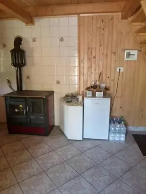 a kitchen with a stove and a refrigerator in a room at Podklanci-house in the forest in Knežak