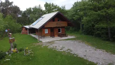 a wooden cabin with a metal roof in the woods at Podklanci-house in the forest in Knežak