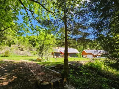 a tree in a yard with a house in the background at Glamping Tent Water Village Rogla in Oplotnica