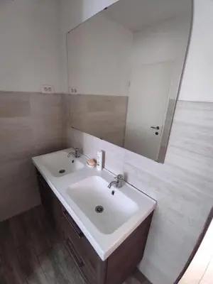 a bathroom with a white sink and a mirror at Park Istra holiday home in Koper