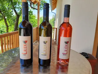 two bottles of wine sitting on a table at Rooms & Wine Lilek in Šentilj