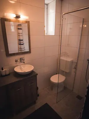 a bathroom with a toilet and a sink and a shower at Apartments STARI TIGER in Bohinj