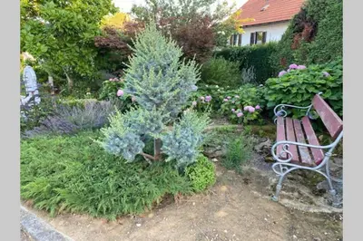a park bench in a garden with flowers and plants at Apartma Jožica in Tonček in Sveti Jurij ob Ščavnici