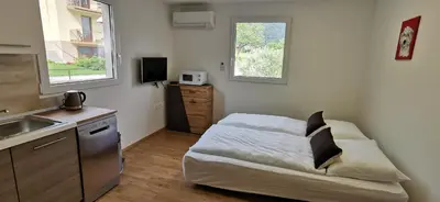 a small bedroom with a bed and a sink and two windows at Apartmaji Tmaynka in Tolmin