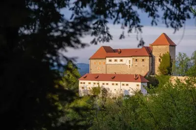 a large castle sitting on top of a hill at Francek house Podčetrtek in Buče