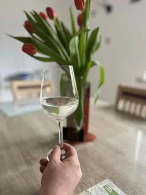 a person holding a glass of wine with a vase of flowers at Apartma Ksela in Mala Nedelja