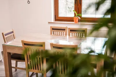 a dining room table with chairs and a potted plant at Apartma Ksela in Mala Nedelja