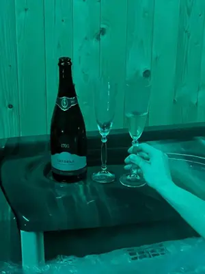 a bottle of wine and two glasses on a table at Apartma Ksela in Mala Nedelja