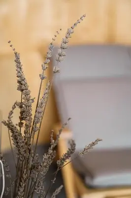a plant with purple flowers in a vase at Apartma Ksela in Mala Nedelja