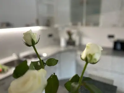 two white roses in a vase on a table at Apartma Ksela in Mala Nedelja