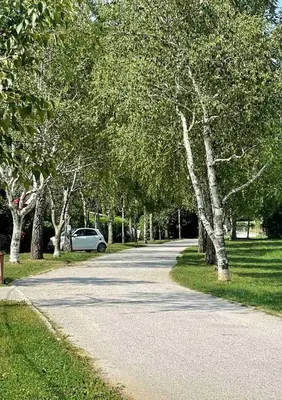 a tree lined road with a car parked on the side at River Houses Ljubljanica in Ljubljana